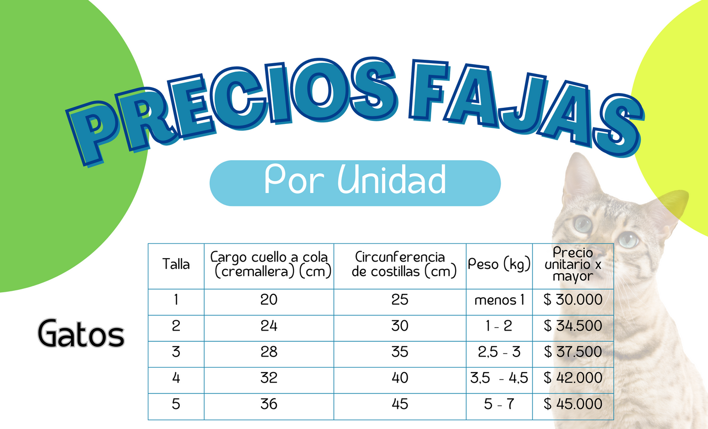 Faja de Recuperación para Gatos