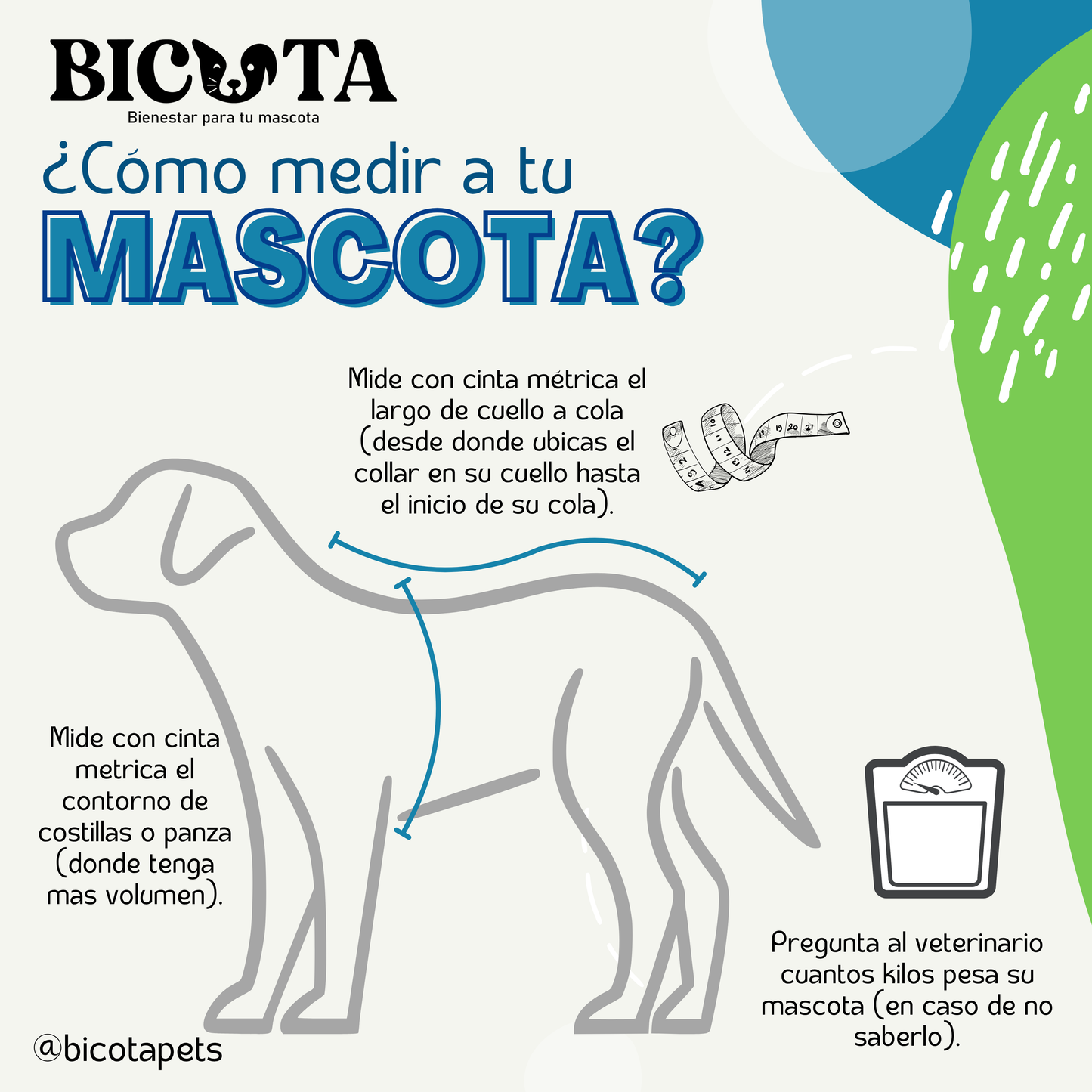 Faja Postquirúrgica Perros