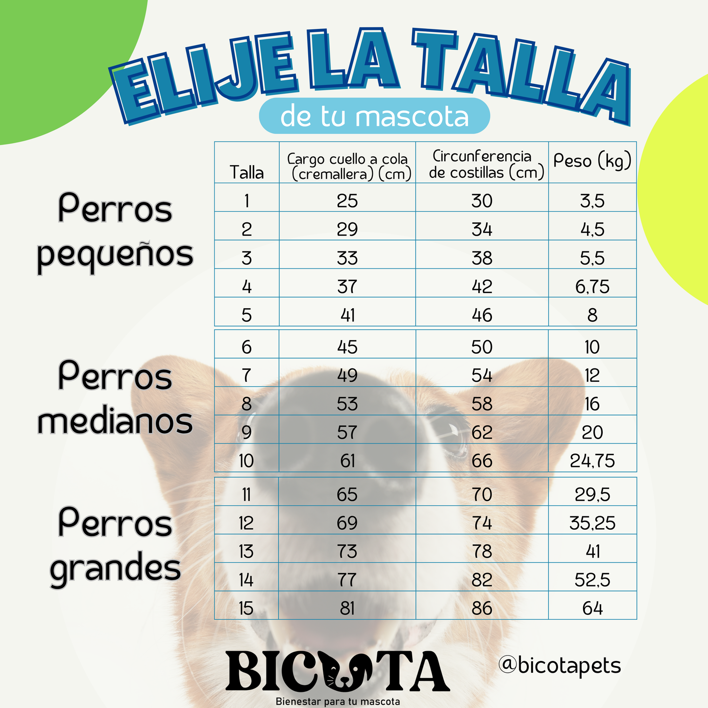 Faja Postquirúrgica Perros