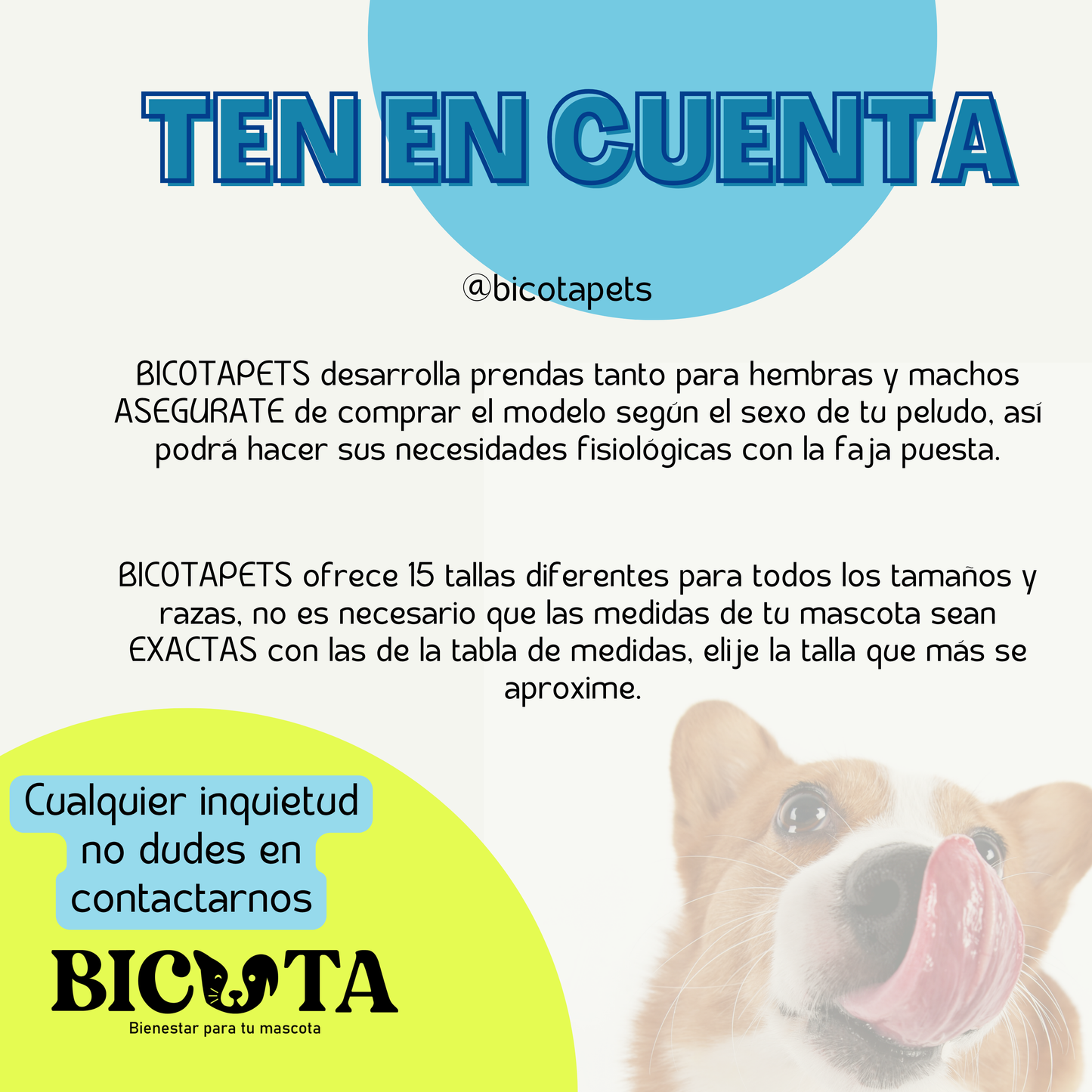 Faja Postquirúrgica Perros
