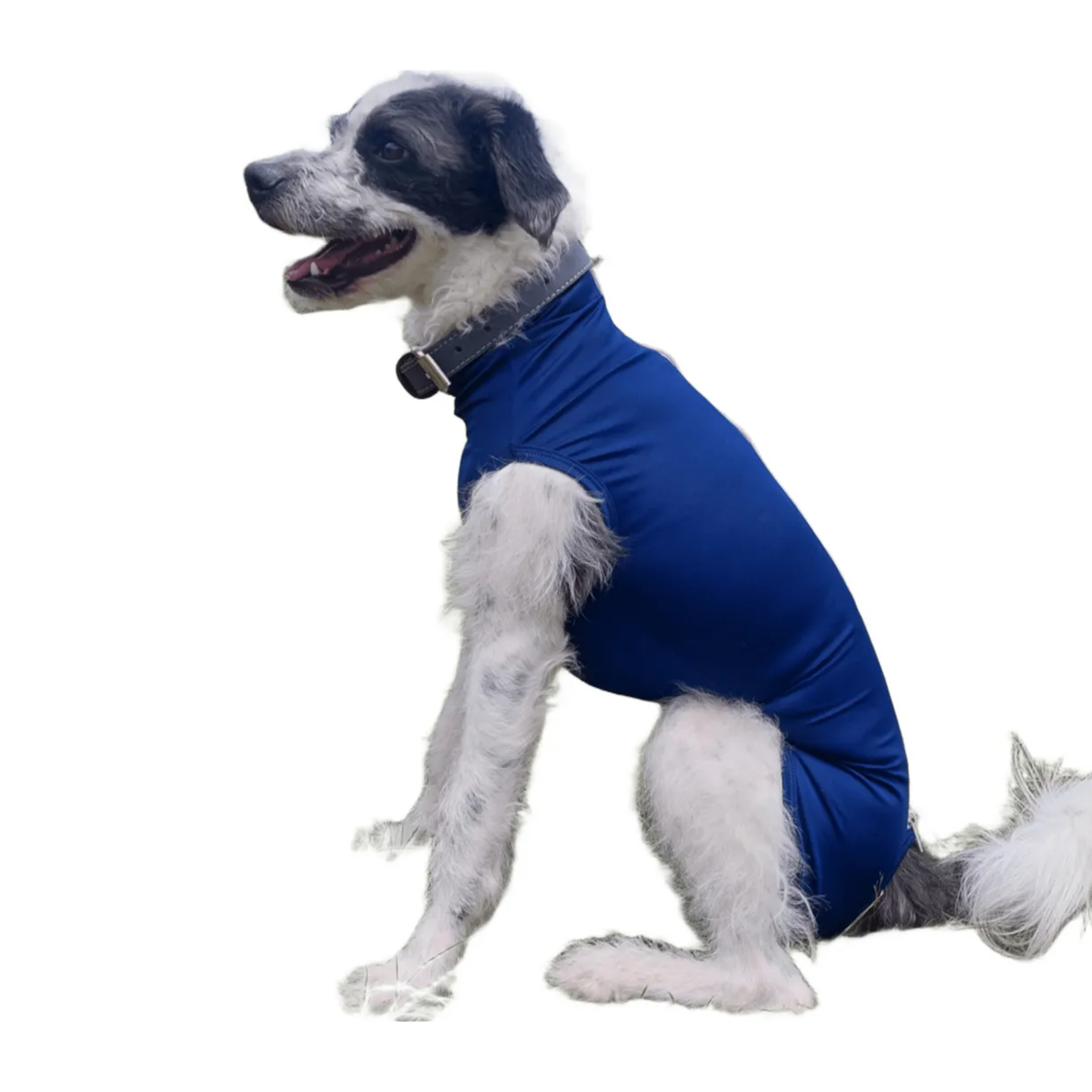 Faja Postquirúrgica Perros