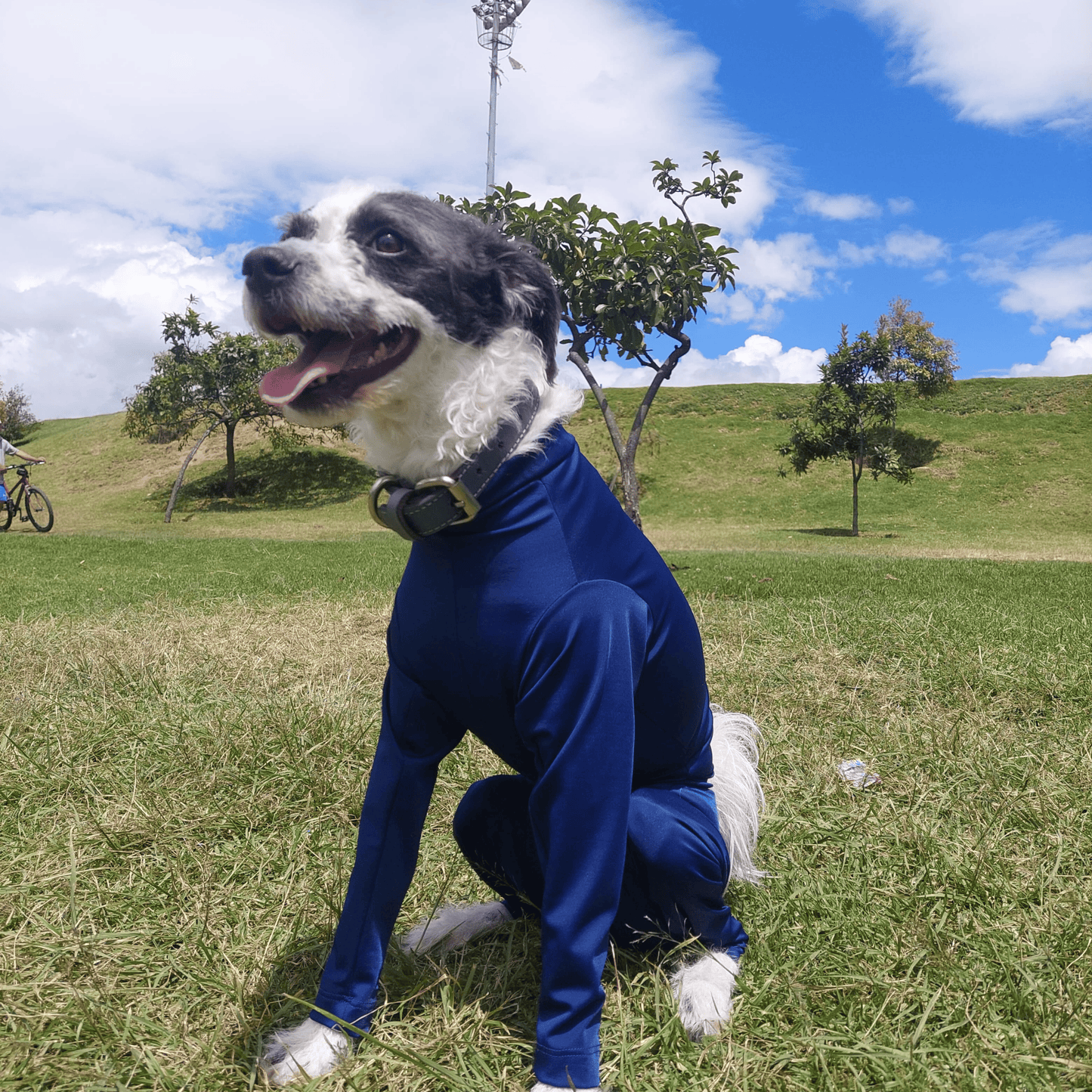 Faja Postquirúrgica Perros
