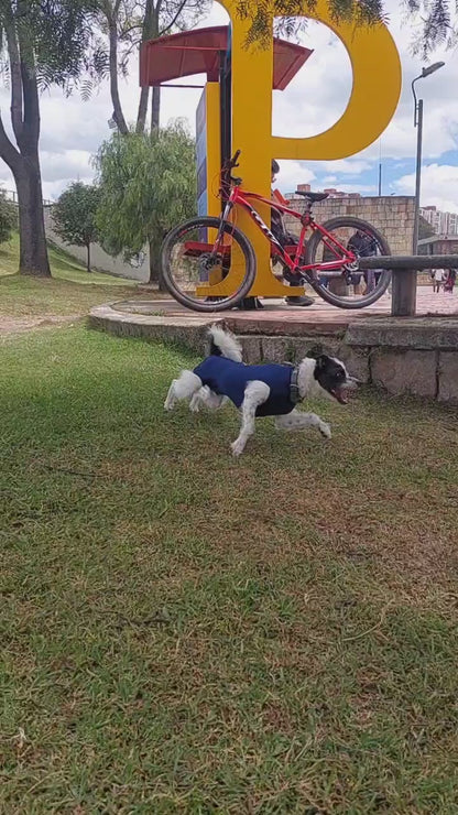 Faja Postquirúrgica Perros